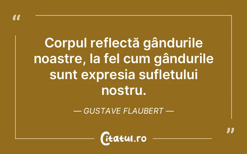 Citat Gustave Flaubert - citate spiritualitate