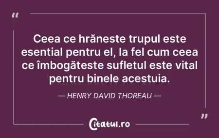 Ceea ce hrănește trupul este esențial... Ceea ce hrănește trupul este esențial...