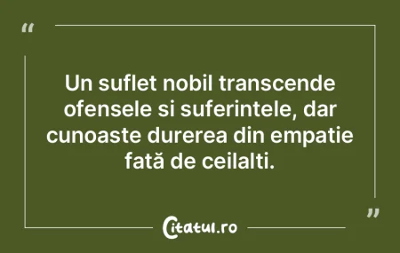 Un suflet nobil transcende ofensele și ... Un suflet nobil transcende ofensele și ...