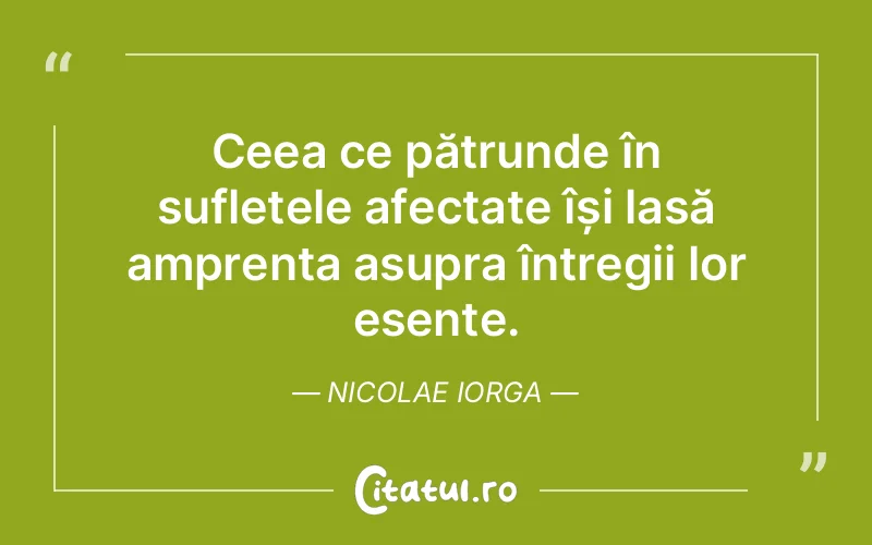 Citat Nicolae Iorga - citate spiritualitate