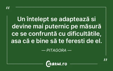 Un înțelept se adaptează și devine m... Un înțelept se adaptează și devine m...