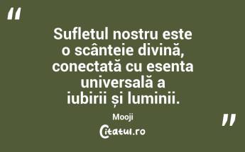 Sufletul nostru este o scânteie divină, conectată cu esența universală a iubirii și luminii. Mooji...