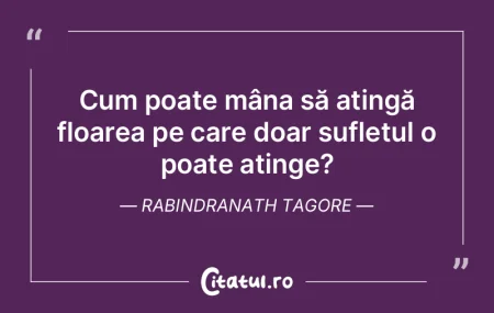 Cum poate mâna să atingă floarea pe c... Cum poate mâna să atingă floarea pe c...