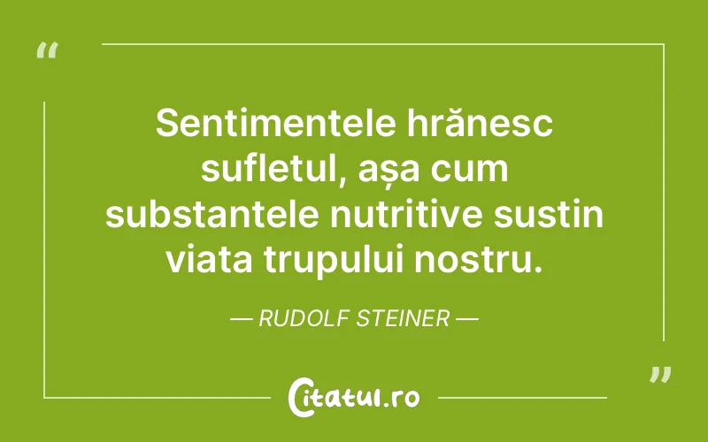 Citat Rudolf Steiner - citate spiritualitate
