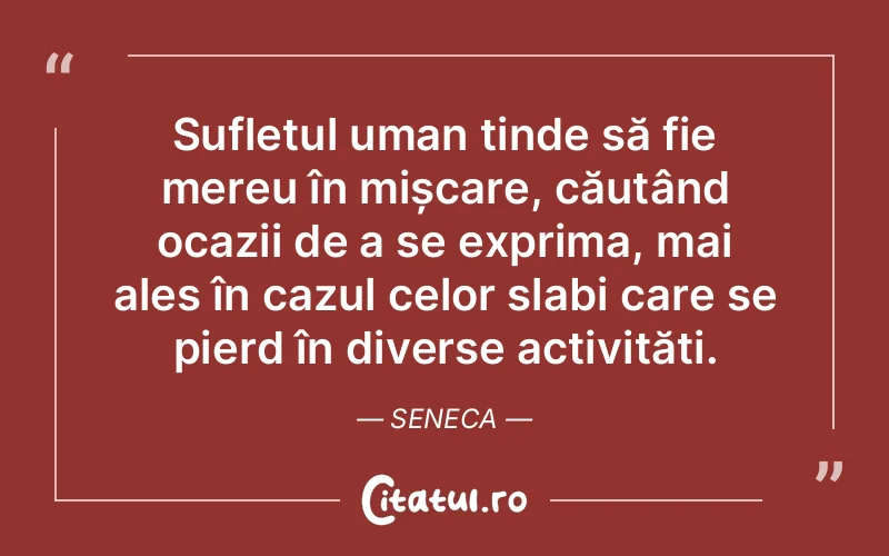 Citat Seneca - citate spiritualitate
