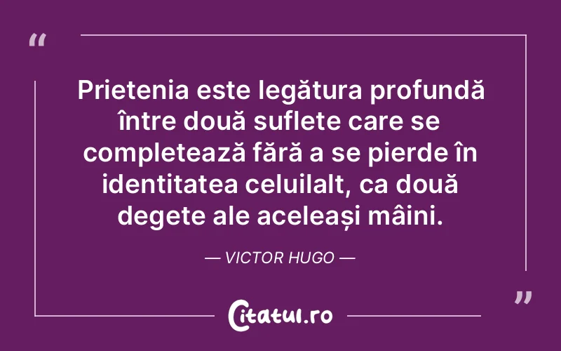 Citat Victor Hugo - citate spiritualitate