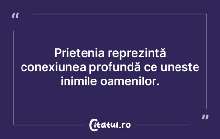Prietenia reprezintă conexiunea profund...