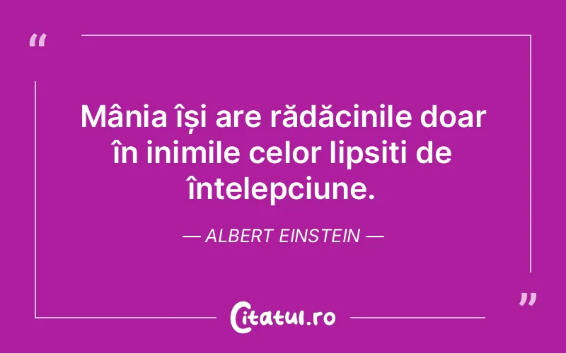 Citat Albert Einstein - citate spiritualitate