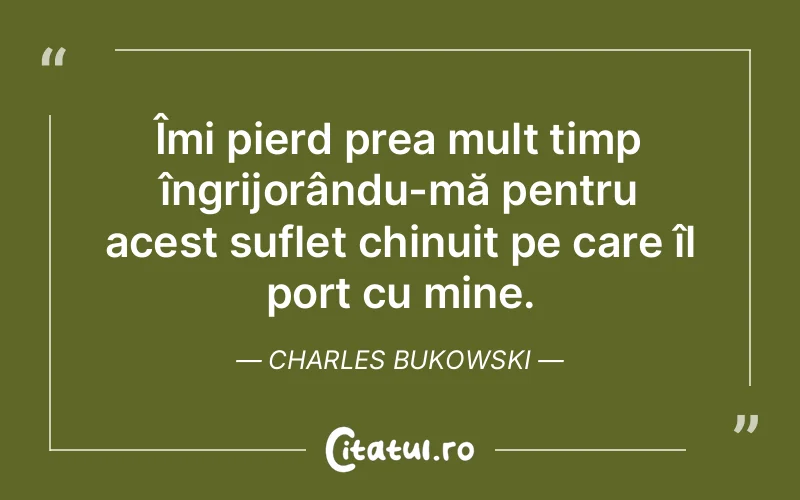 Îmi pierd prea mult timp îngrijorându-mă pentru acest suflet chinuit pe care îl port cu mine. Charles Bukowski