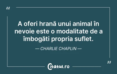 A oferi hrană unui animal în nevoie es... A oferi hrană unui animal în nevoie es...