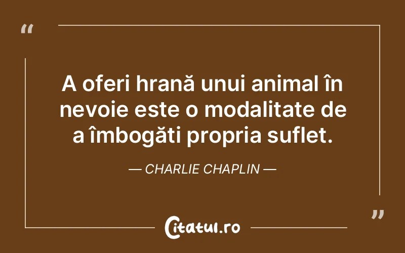 Citat Charlie Chaplin - citate spiritualitate