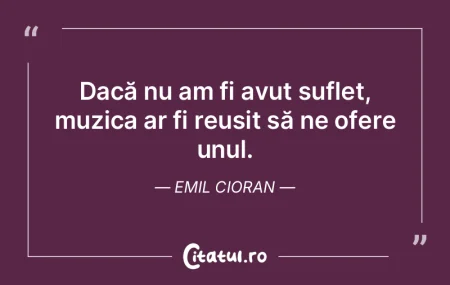 Dacă nu am fi avut suflet, muzica ar fi... Dacă nu am fi avut suflet, muzica ar fi...