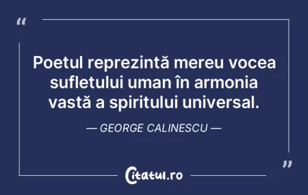 Poetul reprezintă mereu vocea sufletulu... Poetul reprezintă mereu vocea sufletulu...