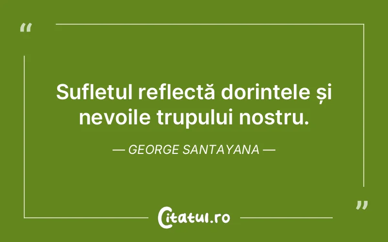 Citat George Santayana - citate spiritualitate