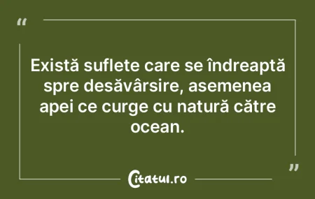 Există suflete care se îndreaptă spre... Există suflete care se îndreaptă spre...