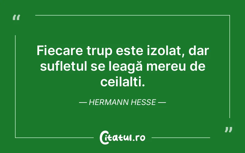 Citat Hermann Hesse - citate spiritualitate