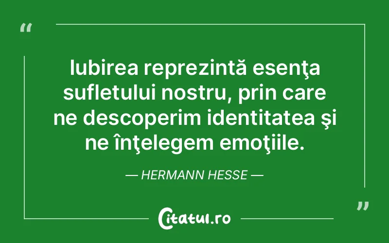 Citat Hermann Hesse - citate spiritualitate