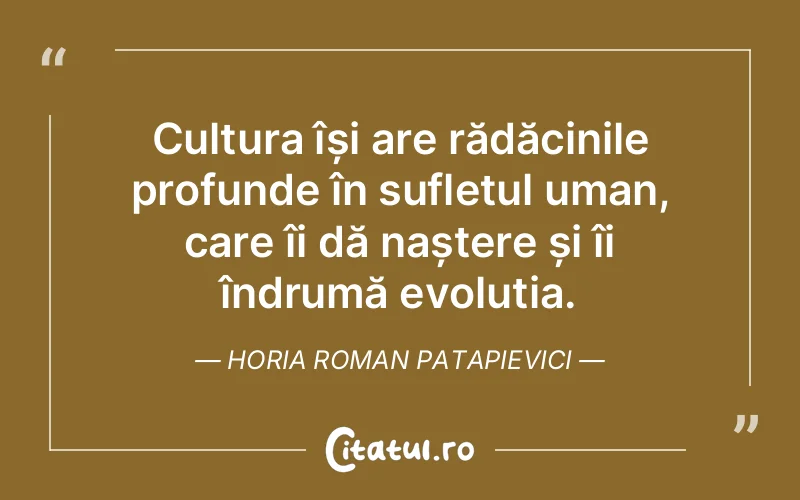 Citat Horia Roman Patapievici - citate spiritualitate