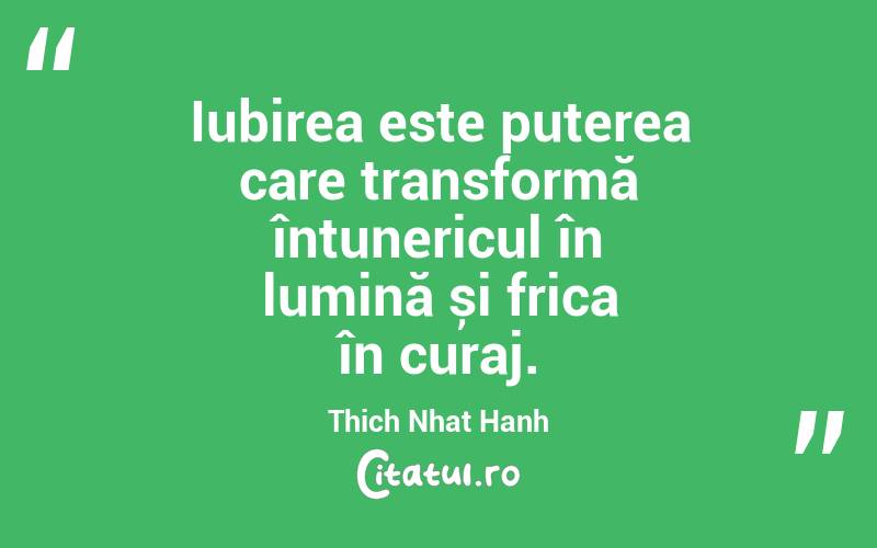 Iubirea este puterea care transformă întunericul în lumină și frica în curaj. Thich Nhat Hanh
