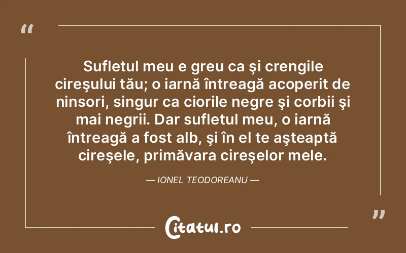 Citat Autor necunoscut - citate spiritualitate