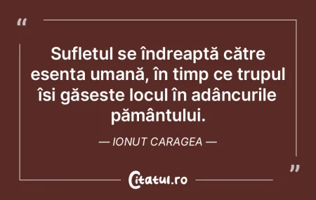 Sufletul se îndreaptă către esența u... Sufletul se îndreaptă către esența u...