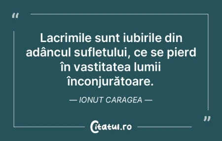 Lacrimile sunt iubirile din adâncul suf... Lacrimile sunt iubirile din adâncul suf...