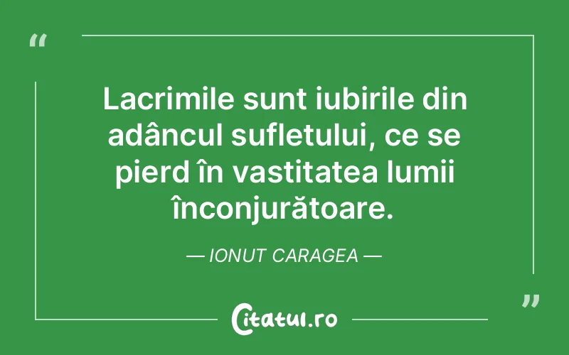 Citat Ionut Caragea - citate spiritualitate