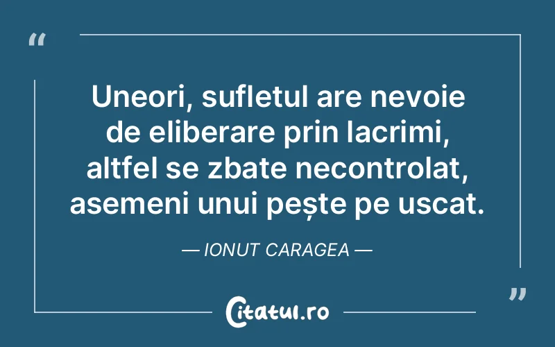 Citat Ionut Caragea - citate spiritualitate