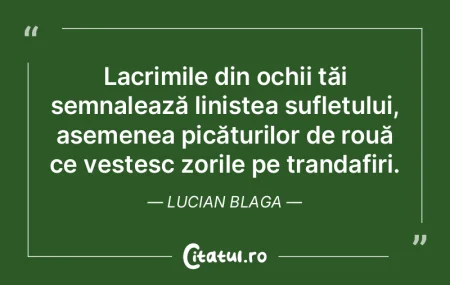 Lacrimile din ochii tăi semnalează lin... Lacrimile din ochii tăi semnalează lin...