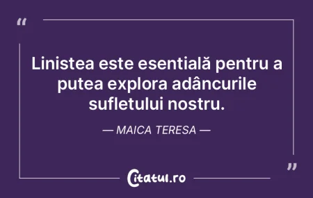 Liniștea este esențială pentru a pute... Liniștea este esențială pentru a pute...