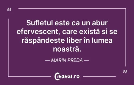Sufletul este ca un abur efervescent, ca... Sufletul este ca un abur efervescent, ca...