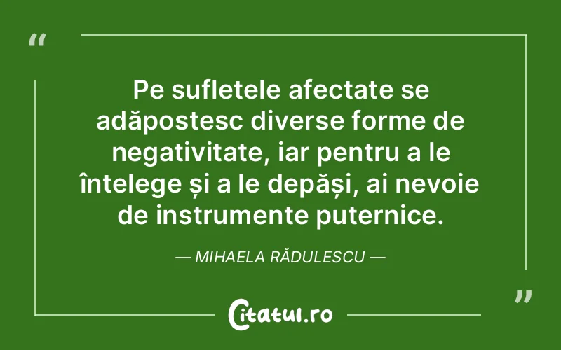 Pe sufletele afectate se adăpostesc diverse forme de negativitate, iar pentru a le înțelege și a le depăși, ai nevoie de instrumente puternice. Mihaela Rădulescu
