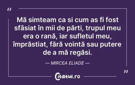 Mă simțeam ca și cum aș fi fost sfâ... Mă simțeam ca și cum aș fi fost sfâ...