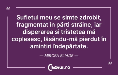 Sufletul meu se simte zdrobit, fragmenta... Sufletul meu se simte zdrobit, fragmenta...