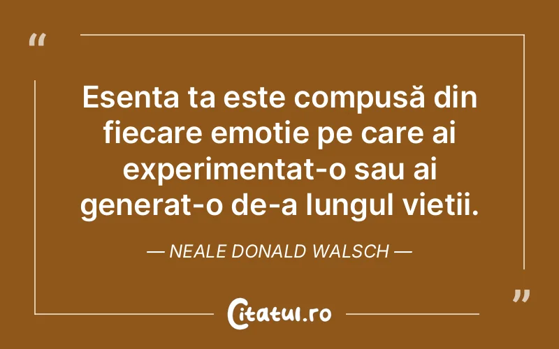 Citat Neale Donald Walsch - citate spiritualitate