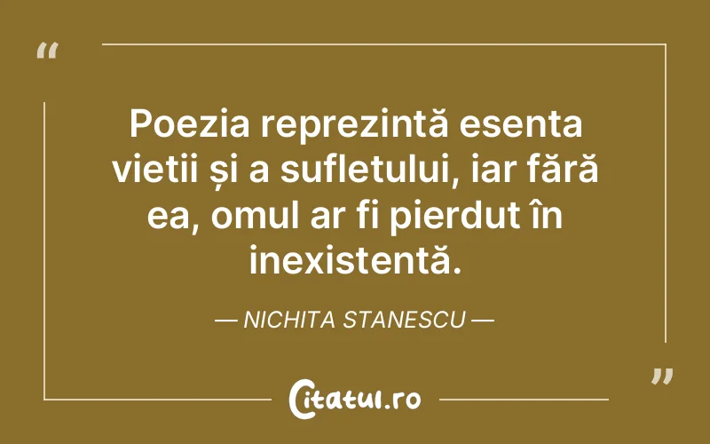 Citat Nichita Stanescu - citate spiritualitate