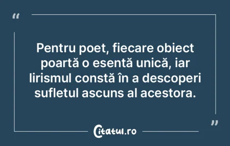 Pentru poet, fiecare obiect poartă o es... Pentru poet, fiecare obiect poartă o es...