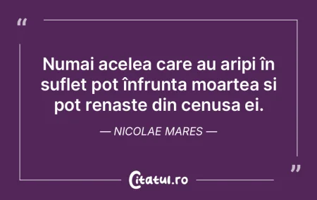 Numai acelea care au aripi în suflet po... Numai acelea care au aripi în suflet po...