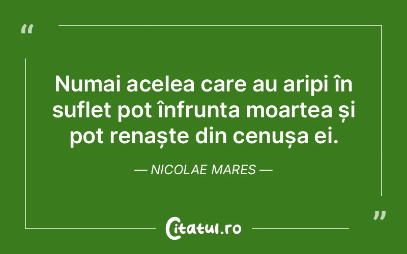 Citat Nicolae Mares - citate spiritualitate