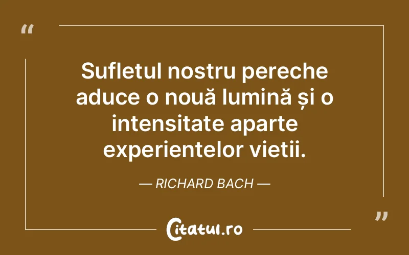 Citat Richard Bach - citate spiritualitate