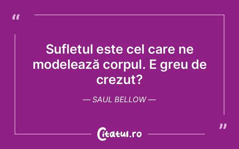 Citat Saul Bellow - citate spiritualitate