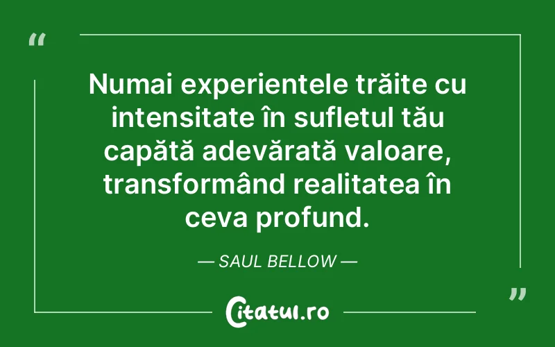 Citat Saul Bellow - citate spiritualitate
