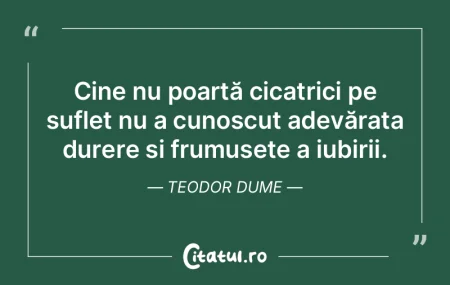 Cine nu poartă cicatrici pe suflet nu a... Cine nu poartă cicatrici pe suflet nu a...