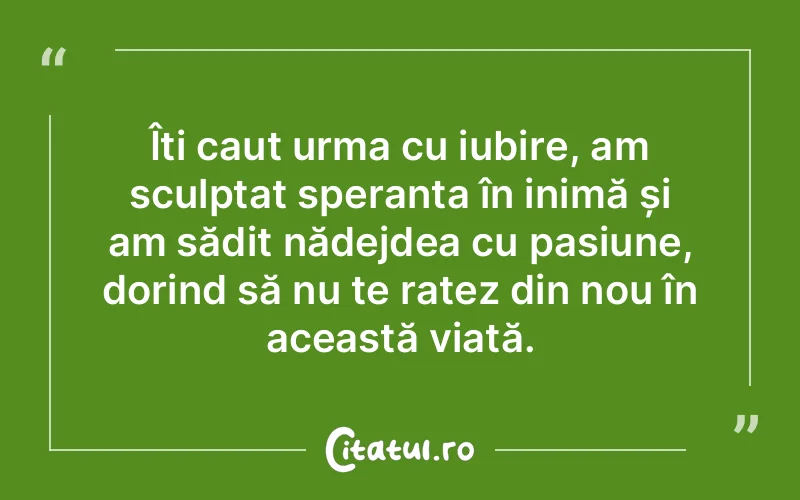 Îți caut urma cu iubire, am sculptat speranța în inimă și am sădit nădejdea cu pasiune, dorind să nu te ratez din nou în această viață.