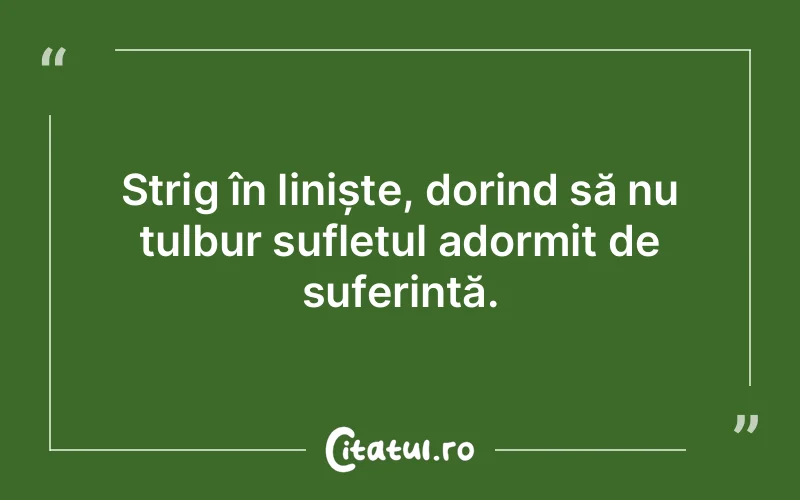 Strig în liniște, dorind să nu tulbur sufletul adormit de suferință.