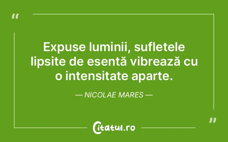 Citat Nicolae Mares - citate spiritualitate