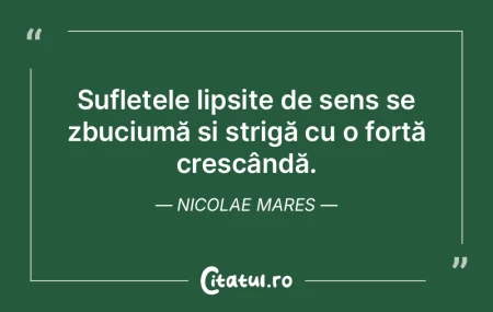 Sufletele lipsite de sens se zbuciumă È... Sufletele lipsite de sens se zbuciumă È...