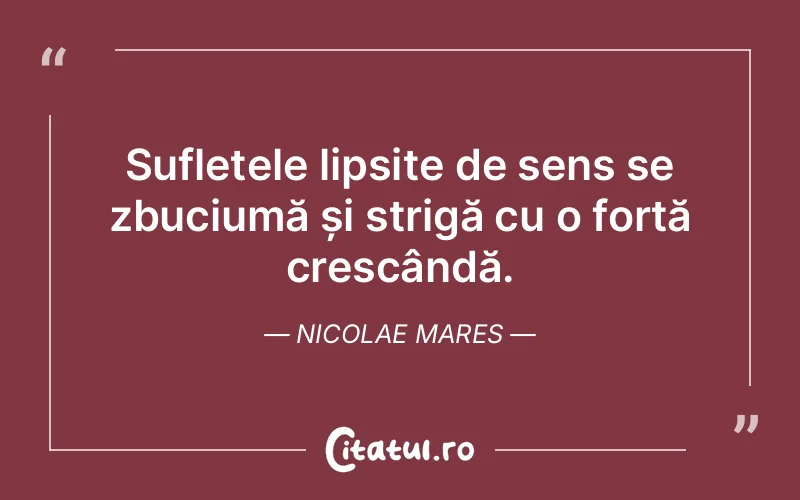 Citat Nicolae Mares - citate spiritualitate