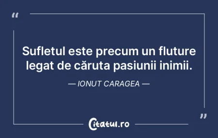 Sufletul este precum un fluture legat de... Sufletul este precum un fluture legat de...