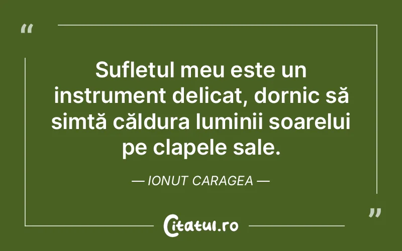 Citat Ionut Caragea - citate spiritualitate
